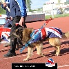 IMG_1772