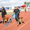 IMG_1794