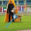 IMG_6586