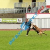 IMG_6670