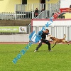 IMG_6671