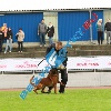 IMG_6788