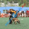 IMG_7600