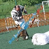 IMG_7908
