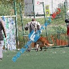 IMG_7938