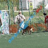 IMG_7939