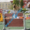 IMG_7961