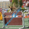 IMG_7962