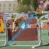 IMG_7963
