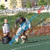 IMG_7993