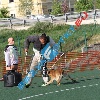IMG_7994