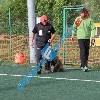 IMG_8001