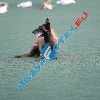 IMG_8029