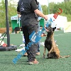 IMG_8040