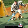 IMG_8080