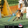 IMG_8081