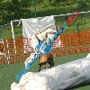 IMG_8084