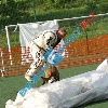 IMG_8085