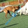 IMG_8099