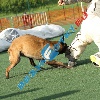 IMG_8101