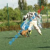 IMG_8105