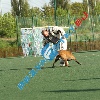 IMG_8107