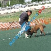 IMG_8123