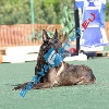 IMG_8151