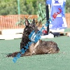 IMG_8152