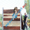 IMG_8171