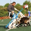 IMG_8189