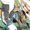 IMG_8190