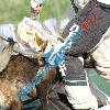 IMG_8192