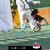 IMG_8205