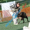 IMG_8206