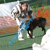 IMG_8207
