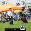 IMG_8855