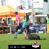 IMG_8865