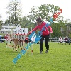 IMG_8884