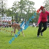 IMG_8885