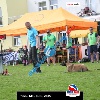 IMG_8890