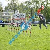 IMG_8925