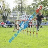 IMG_8926