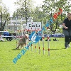 IMG_8928