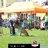 IMG_8941
