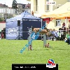 IMG_9012