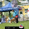 IMG_9058
