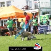 IMG_9091