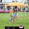 IMG_9238