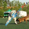 IMG_8303